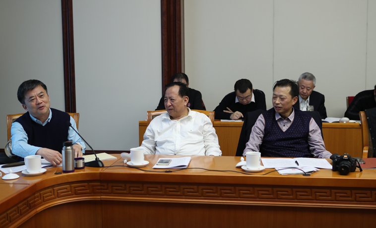 11月30日下午，河南、湖北代表团分组讨论中与会代表在发言。