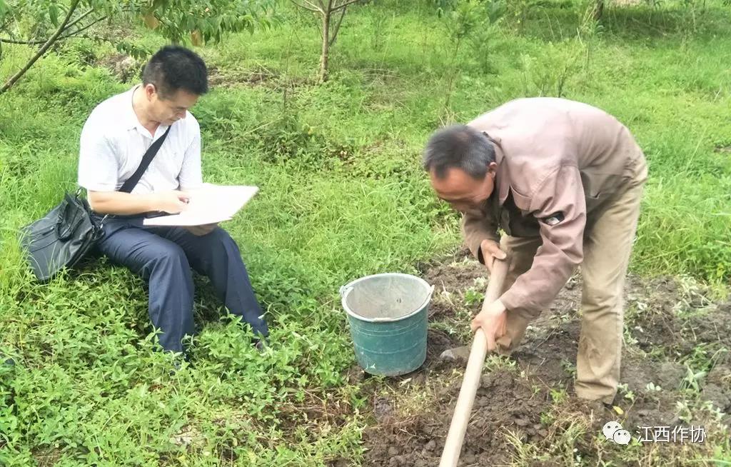 江西作家凌翼井冈山深入生活日志