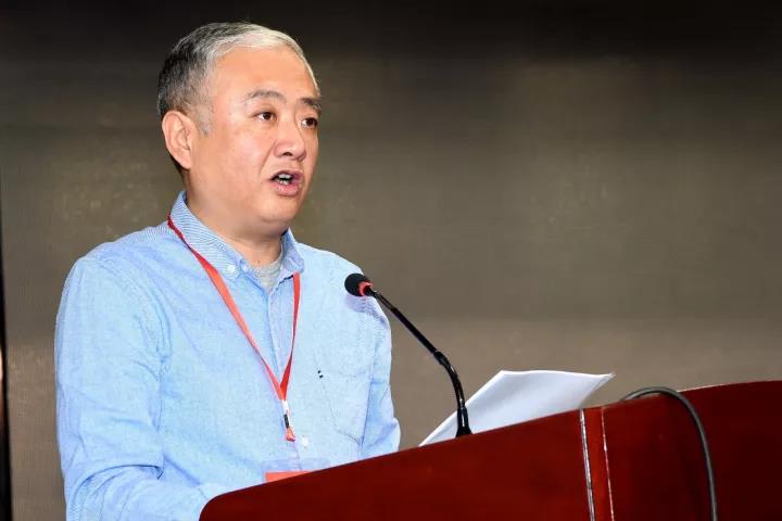 金瓯vs张碧迁我有些沉寂但从没闲着