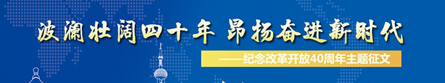 波澜壮阔40年昂扬奋进新时代-网站征文