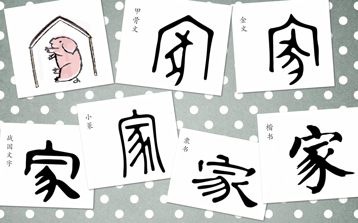 的成语中选择一个或多个小学阶段必学的汉字,加以详细解说其源由演变
