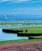 陆春祥:鄱阳的鄱