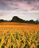 陈应松:大地的火把节