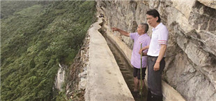 《惊蛰》：乡村苦难叙事与一种文学传统