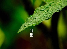 《谷雨》过了清明，就是谷雨。村庄里，田野里，村路上，草木间，人家的院落里，人们的脸上，到处都是春天的闲意思了。[详细]