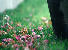 《雨水》转眼就过了正月十五。芳村这地方，过了十五，才算是过了年。老辈子的风俗，十五看灯，十六游百病。[详细]