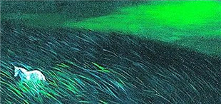 《通往魔法之地》：一场探索自我的精神之旅