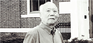 付秀莹长篇小说《野望》：沸腾的乡村大地生机盎然