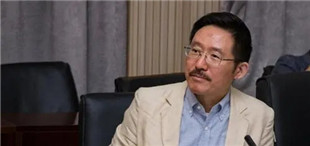 《寂静的太阳湖》：“忧患之子”的诞生及其时代价值