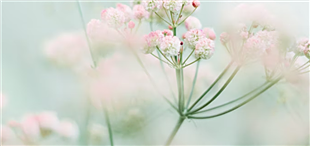 冯骥才《艺术家们》：被艺术激情引导的人如何经营人生