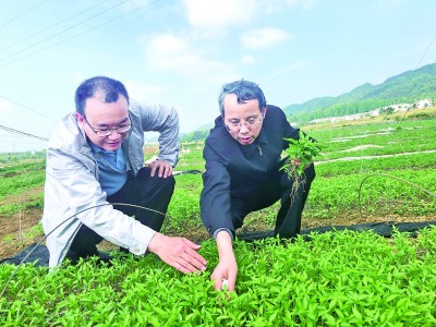 作家欧阳黔森（右）在贵州省紫云县沙坎村采风。光明图片