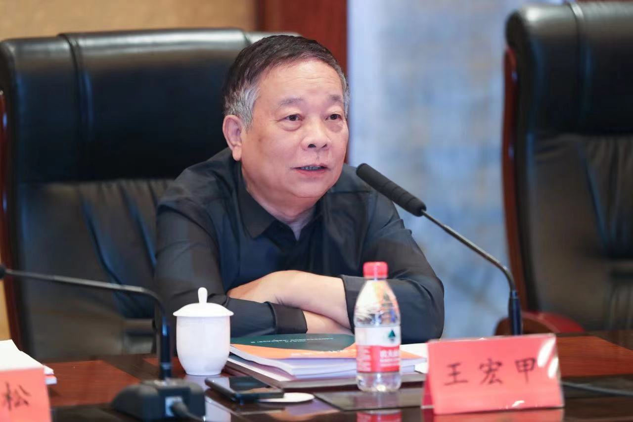 王宏甲发言