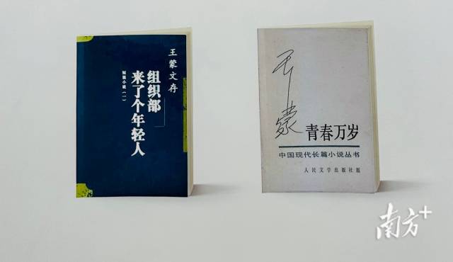 王蒙《组织部来了个年轻人》。河源图书馆供图