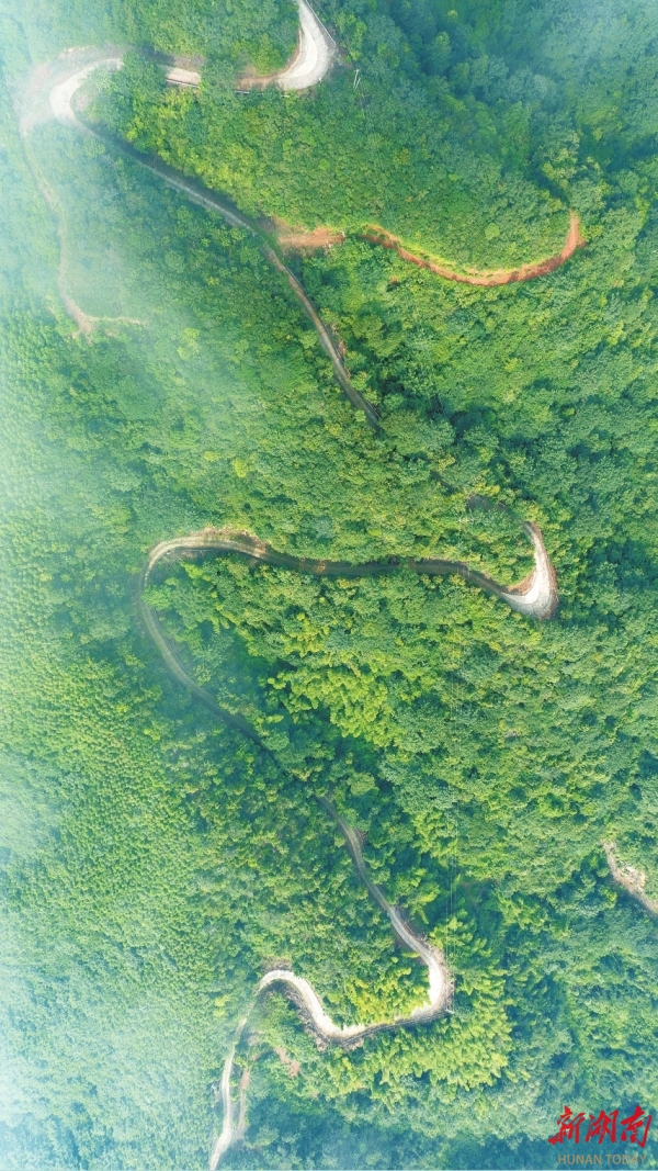 过去梯危径险的智峰山，如今修通了盘山公路