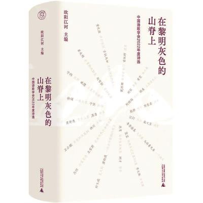（《在黎明灰色的山脊上》欧阳江河/主编，广西师范大学出版社）