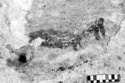 梁布鲁西蓬4号岩画“场景”中的细节，展示了一个具有类似人的身体结构和鸟头的形象，它拿着某种物品。图片由亚当·布鲁姆教授提供