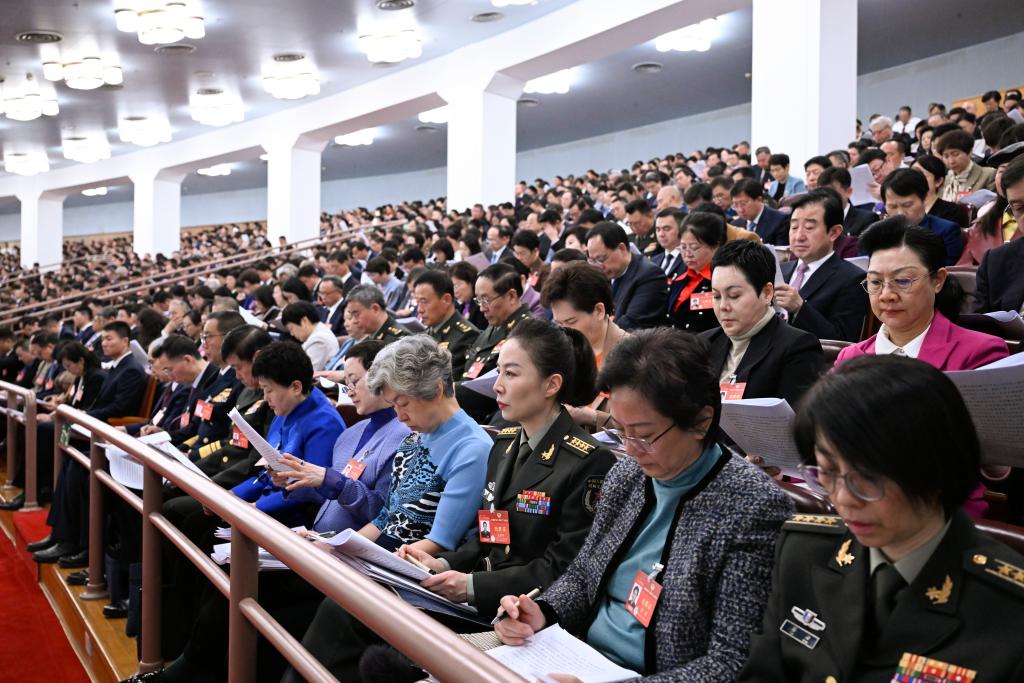 3月5日，第十四届全国人民代表大会第二次会议在北京人民大会堂开幕。这是全国政协委员列席大会。新华社记者 申宏 摄