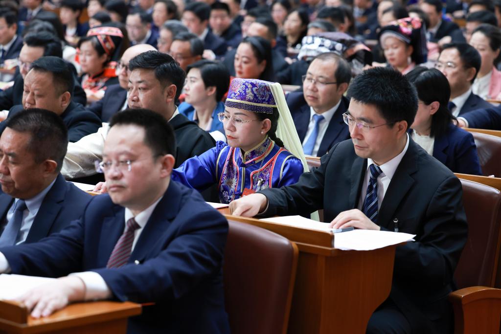 3月11日，第十四届全国人民代表大会第二次会议在北京人民大会堂举行闭幕会。新华社记者 王晔 摄