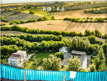石榴花开①丨从时间之所中筑造永恒的故乡