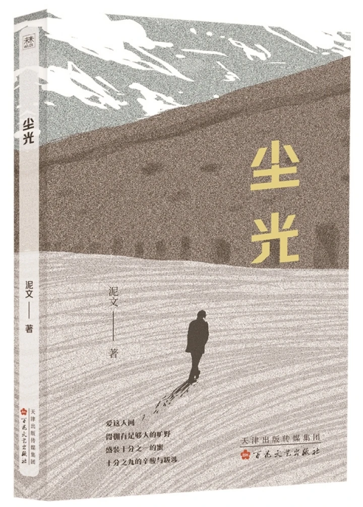 《尘光》泥文 著百花文艺出版社2024年10月出版