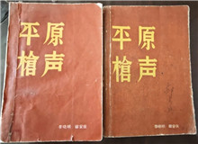从未远去的“平原枪声”　　合上《平原枪声》最后一页，初听现实中肖张镇这个地名，心头不禁一震：莫不是小说中的肖家镇？[详细]