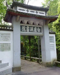 张锐锋：白鹿洞随想