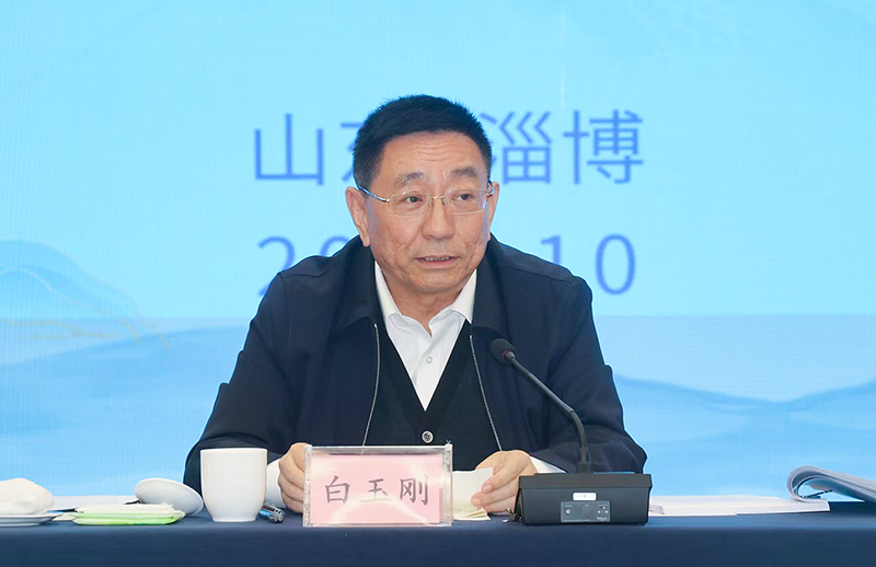 山东省委常委、宣传部部长白玉刚作总结讲话