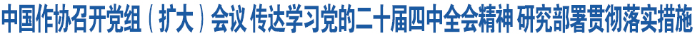 中国作协召开党组(扩大)会议 传达学习党的二十届四中全会精神 研究部署贯彻落实措施