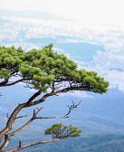 王祥夫:随笔六章(节选)