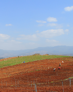 徐贵祥：土地的青春