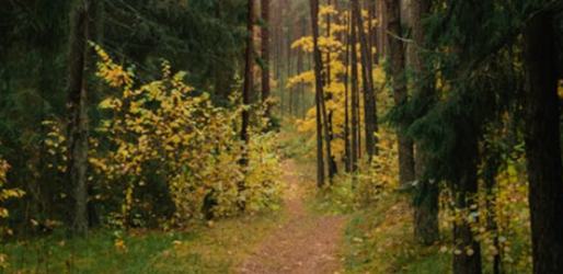 邵燕君:基于“书友经济”的大规模文学生产——中国网络文学的独特属性及其生产机制的建立