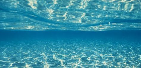 网络文艺的魅力在于打破边界、汇聚力量