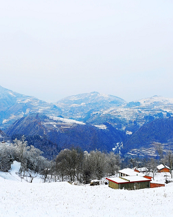 乔叶：村庄的留白
