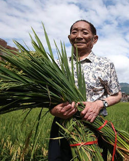 卞毓方：清癯的丰饶——追忆袁隆平先生