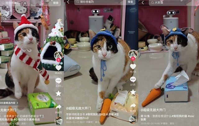 不止于“玩梗”：读懂热词里的温暖叙事