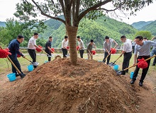 【第1站】浙江杭州临安区2022年6月23日，中国作家“深入生活、扎根人民”新时代文学实践点在杭州临安区授牌。[详细]