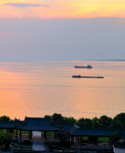 王国猛：览物证古