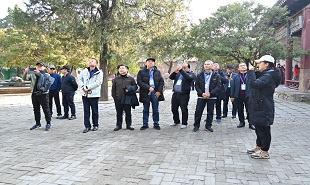 “中华泰山·国泰民安”主题实践活动走进岱庙