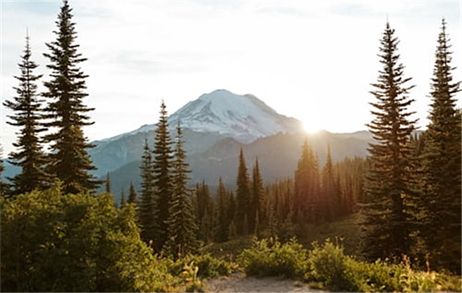 迈向跨界融合的“大文学”时代——二〇二五年中国文坛一瞥