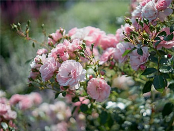 2025文学理论评论观察：在时代变革中开拓丰盈的话语空间