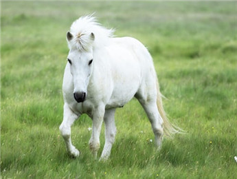 2025年民族文学发展综述：在历史与现实的交融中铸牢中华民族共同体意识