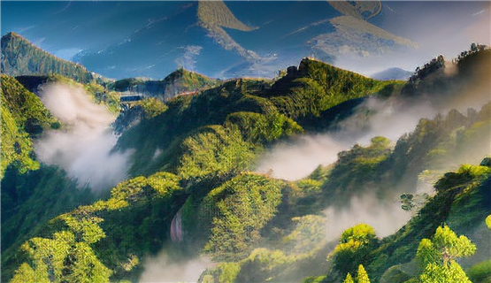 流动的“在场感”与“逸出”的文气——以《民谣》《桃花坞》为中心