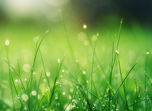 朱强：雨中的白头格厚厚的雨云压在头顶，似乎一抬手，雨就要落下来。对面山上的云是粉状的，青白相间，风一吹，云就往山上跑。蓬莱山水多仙境。[详细]