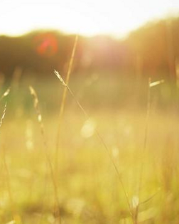 朱以撒：阳光正好