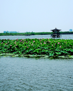 心盈：淀上船家