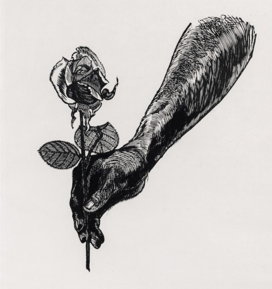 黄永玉《蔷薇》 38×33cm 1990年
