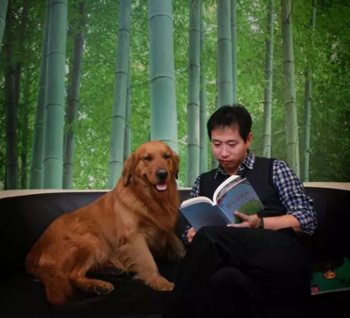 黄鑫:我面对的不是电脑,而是一个明察秋毫的孩子--理论评论--中国作家