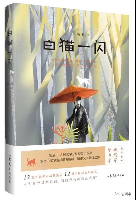 青年作家庞羽两部新作出版 聚焦当代青年生存空间与精神状态--新闻--中国作家网