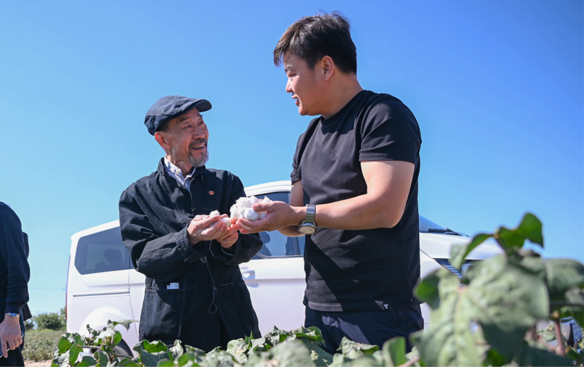 在玛纳斯县北五岔镇田家井村的棉田里，电影《援疆干部》主演李雪健正在了解棉花生长及电影取景地相关情况。