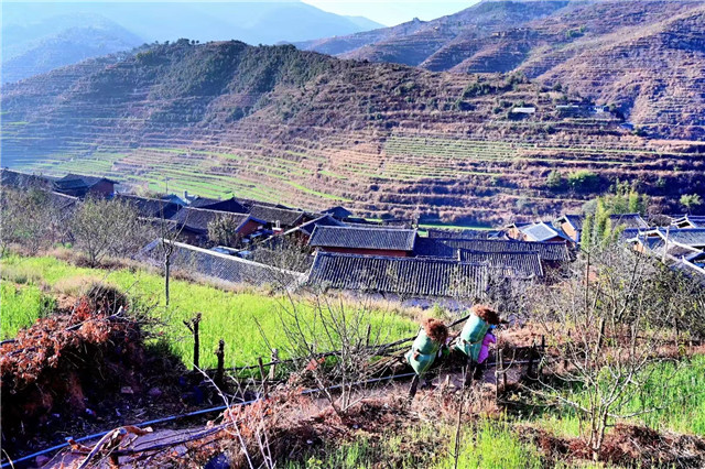 下面是李跃慧小时候住的屋子，后来被邻居买去翻盖，从这里可以看到直苴村的一角